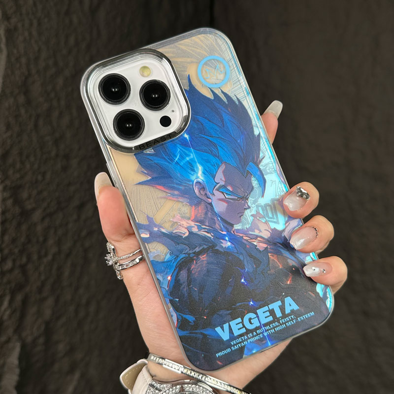 anime case