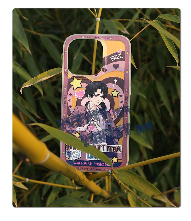 anime case