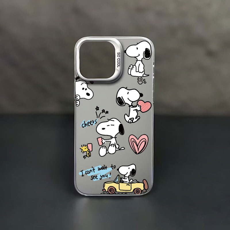 anime case