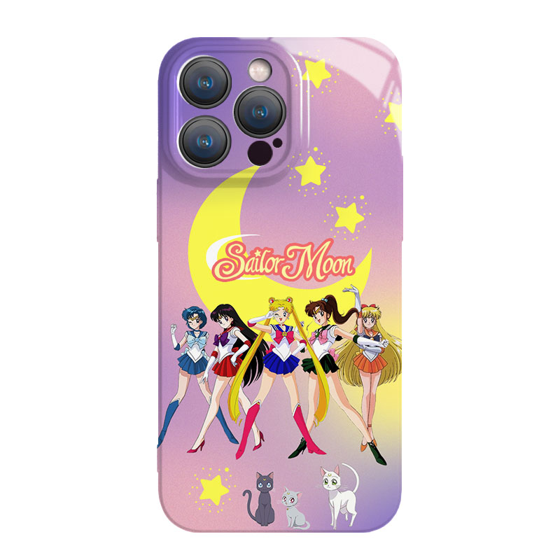 anime case