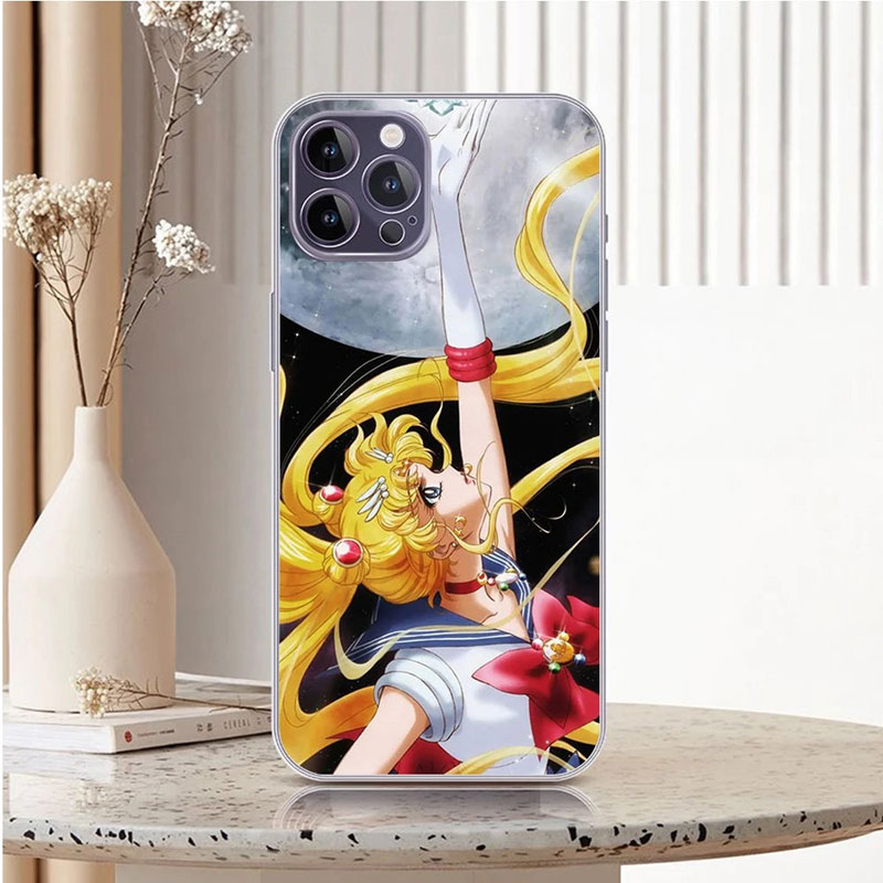 anime case