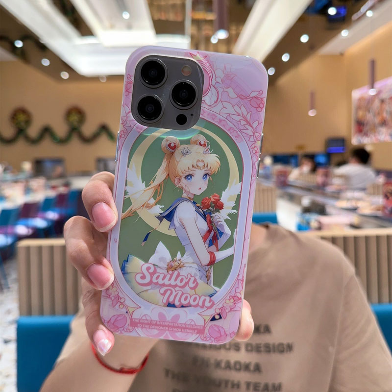 anime case