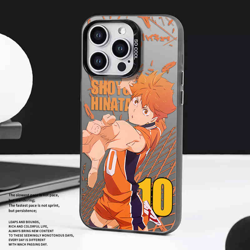 anime case