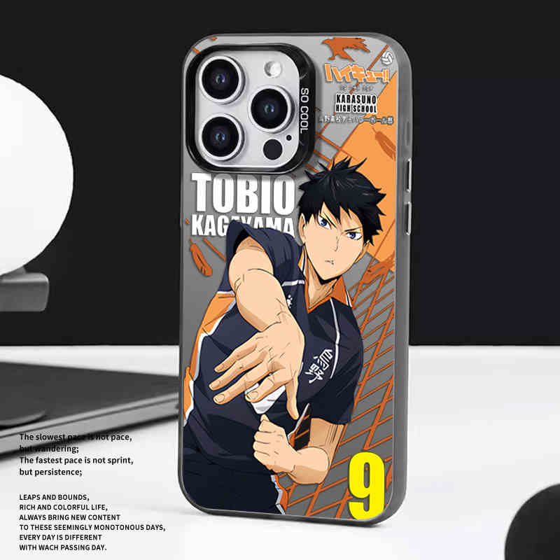 anime case