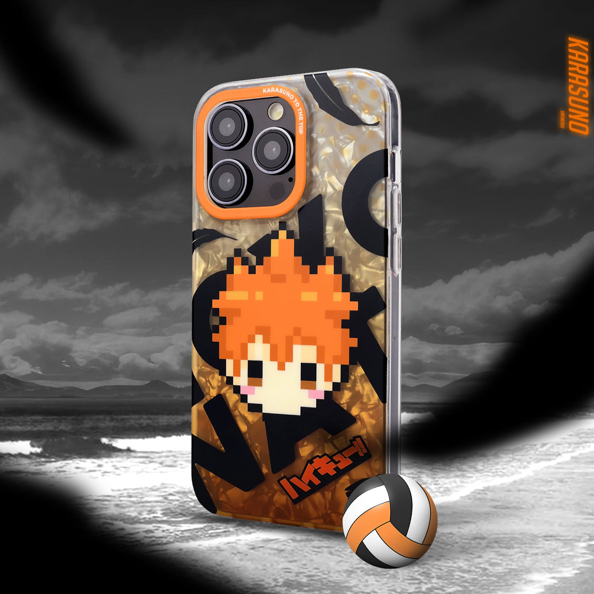 anime case