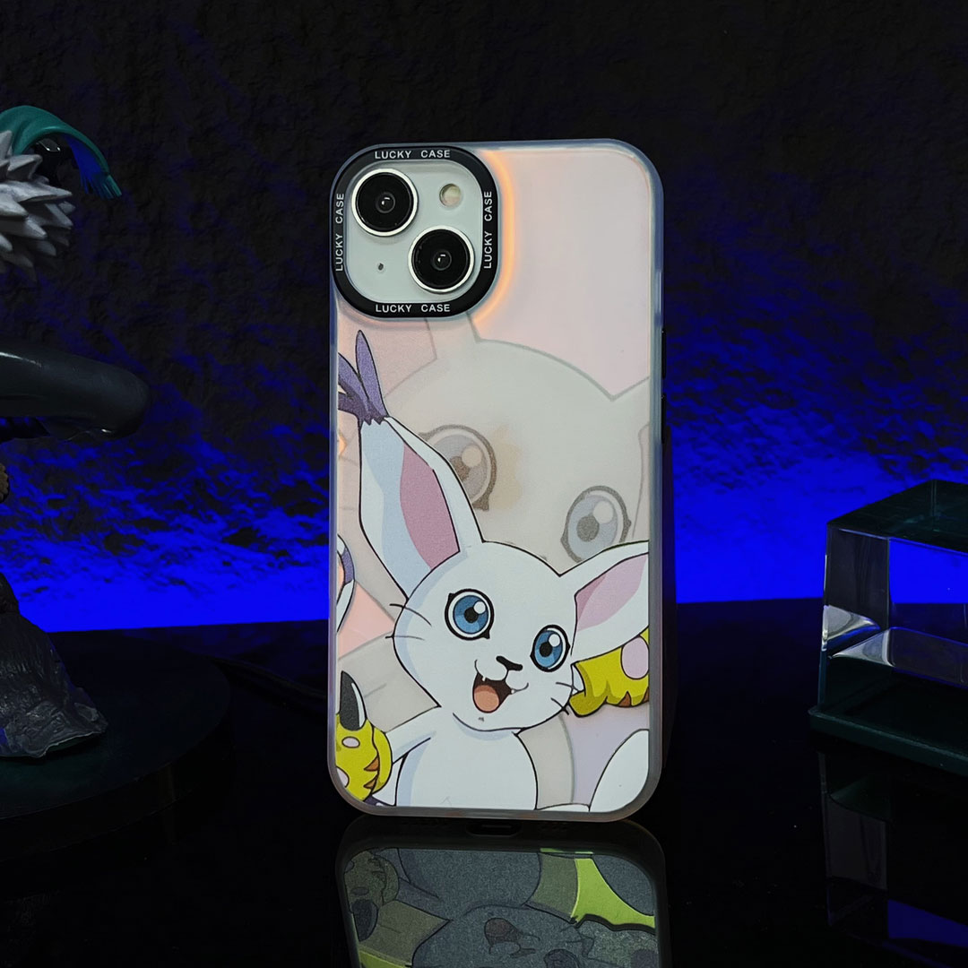 anime case